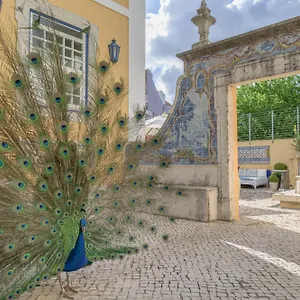 4* Отель Solar Do Castelo - Heritage Collection - Alfama